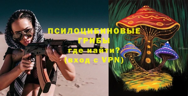 ECSTASY Медногорск