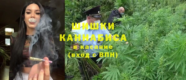 трава Медвежьегорск