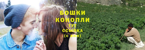 ECSTASY Медногорск