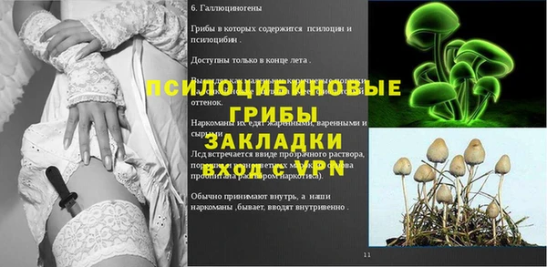 трава Медвежьегорск