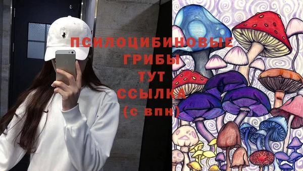 ECSTASY Медногорск