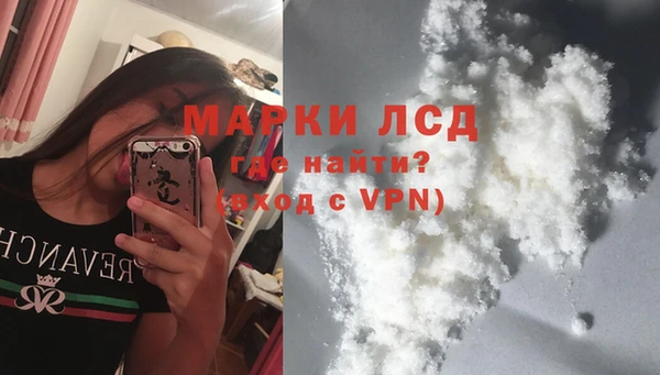 трава Медвежьегорск