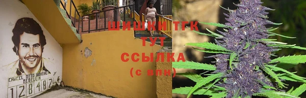 трава Медвежьегорск