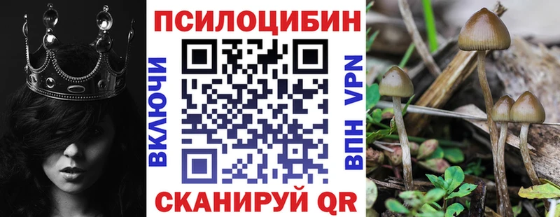 Галлюциногенные грибы мухоморы  Ряжск 